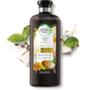 Coconut Moisturizing Shampoo