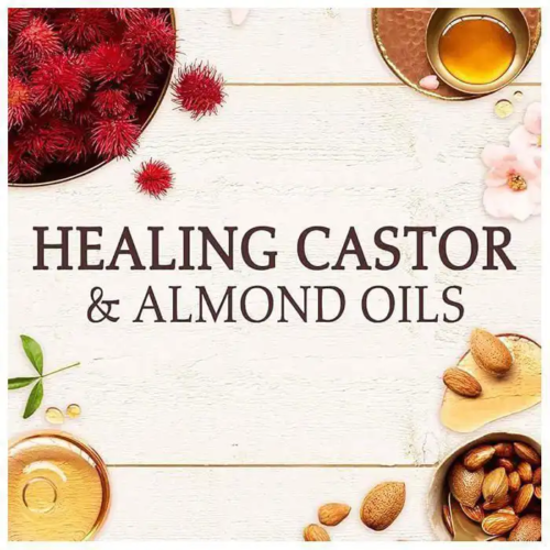 Alternative view of Garnier Ultra Doux Hammam Zeit Restoring Shampoo Castor & Almond Oils