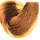 21. 8/3 Light Golden Blonde