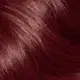4/6 Burgundy
