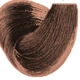 14. 9/13 Super Light Blonde Golden Ash