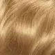 8/1 Light Ash Blonde