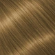 7/3 – Golden Blonde