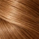 5.3 – Light Golden Brown