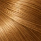 6.30 – Intense Golden Dark Blonde
