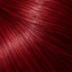 6.66 – Scarlet Intense Red