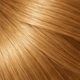 7.3 – Golden Blonde